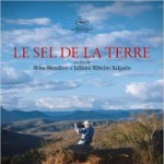 Seldelaterre
